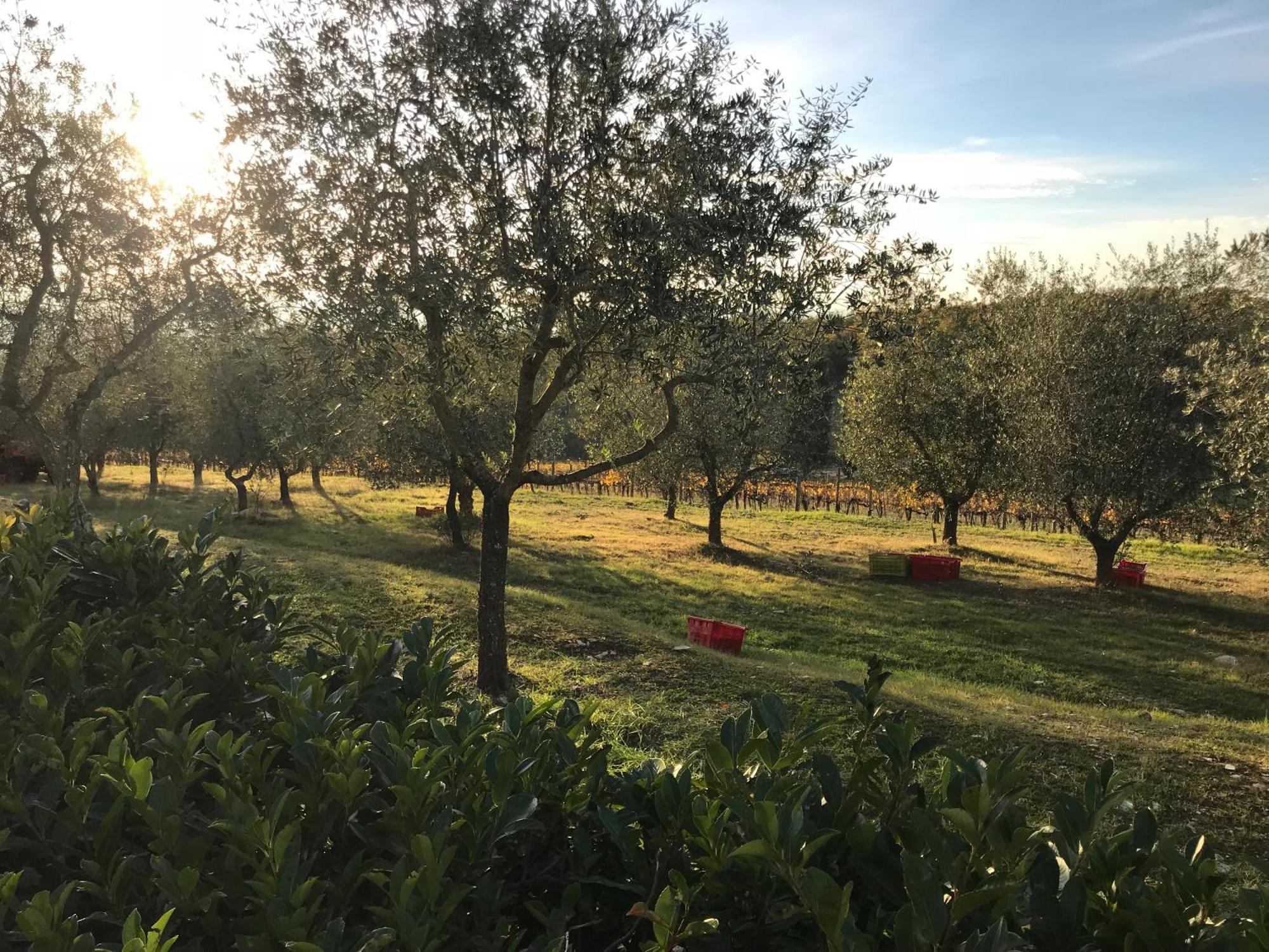 Il Villino Farmhouse Castellina in Chianti Exterior photo